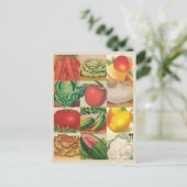 Carte Postale Illustrations de fruits et légumes vintages (Debout devant)