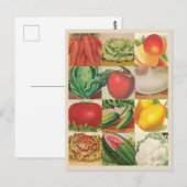Carte Postale Illustrations de fruits et légumes vintages (Devant / Derrière)