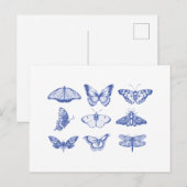 Carte Postale Illustrations de papillon vintage en bleu (Devant / Derrière)