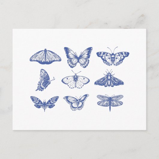 Carte Postale Illustrations de papillon vintage en bleu (Devant)