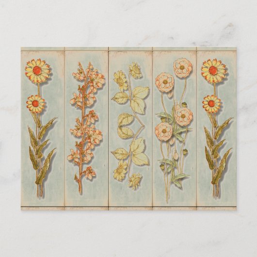 Carte Postale Illustrations de Plante vintage (Devant)