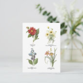 Carte Postale Illustrations florales botaniques (Debout devant)