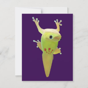 Carte Postale Ils m'appellent des orteils collants ! DAY GECKO