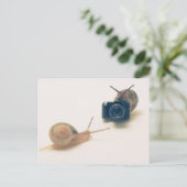 Carte Postale I'm a photographer. (Debout devant)