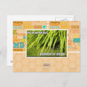 Carte Postale im dans l'herbe (Devant / Derrière)