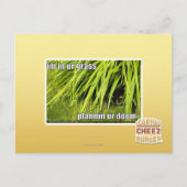 Carte Postale im dans l'herbe (Devant)