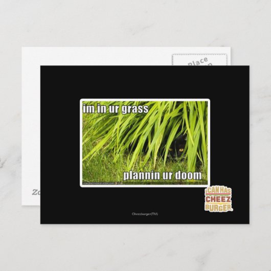 Carte Postale im dans l'herbe (Devant / Derrière)