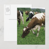 Carte Postale ima28991 (Devant / Derrière)