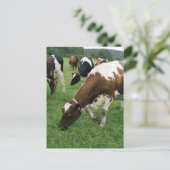 Carte Postale ima28991 (Debout devant)