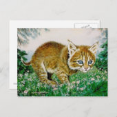 Carte Postale Ima Bobkitty (Devant / Derrière)