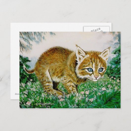 Carte Postale Ima Bobkitty (Devant / Derrière)