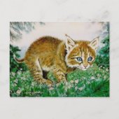 Carte Postale Ima Bobkitty (Devant)