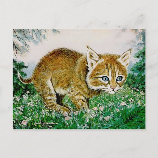 Carte Postale Ima Bobkitty (Devant)