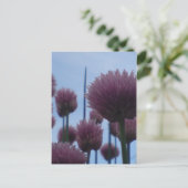 Carte postale - Image 1 (Debout devant)