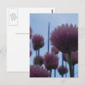 Carte postale - Image 1 (Devant / Derrière)