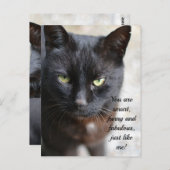 Carte Postale Image Amoureux des chats noire avec citation motiv (Devant / Derrière)