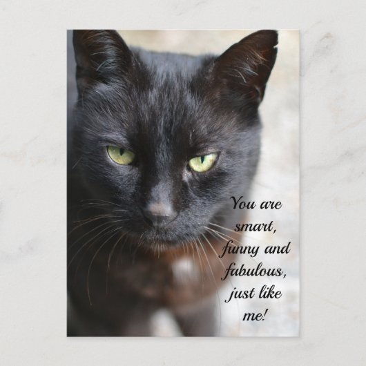 Carte Postale Image Amoureux des chats noire avec citation motiv (Devant)