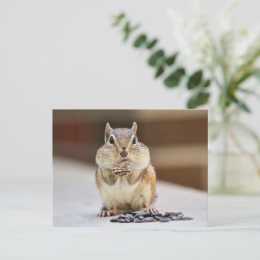 Carte Postale Image Chipmunk (Debout devant)