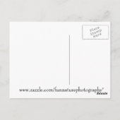 Carte Postale Image Chipmunk (Dos)