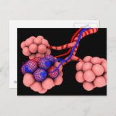 Carte Postale Image Conceptuelle D'Alveoli 2 (Devant / Derrière)