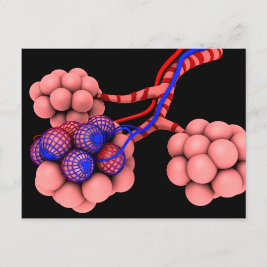 Carte Postale Image Conceptuelle D'Alveoli 2 (Devant)