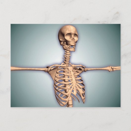 Carte Postale Image Conceptuelle De La Cage Des Ribs Humains Et (Devant)