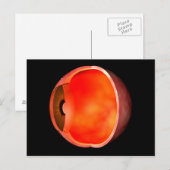 Carte Postale Image Conceptuelle De La Croix Des Yeux Humains Se (Devant / Derrière)