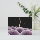 Carte Postale Image Conceptuelle De La Fertilisation (Debout devant)