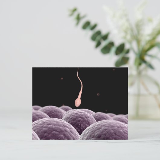 Carte Postale Image Conceptuelle De La Fertilisation (Debout devant)