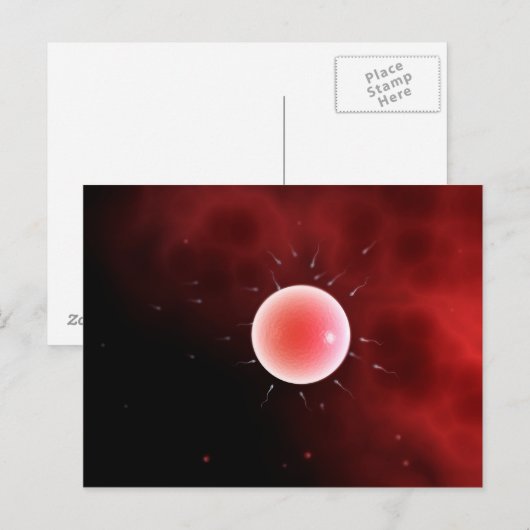 Carte Postale Image Conceptuelle De La Fertilisation Commune (Devant / Derrière)