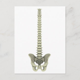 Carte Postale Image Conceptuelle De La Fondatrice Humaine 1