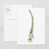 Carte Postale Image Conceptuelle De La Fondatrice Humaine 7 (Devant / Derrière)