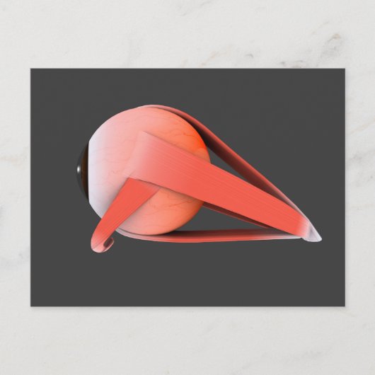 Carte Postale Image Conceptuelle De L'Anatomie Des Yeux Humains (Devant)