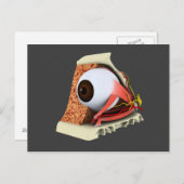 Carte Postale Image Conceptuelle De L'Anatomie Des Yeux Humains (Devant / Derrière)