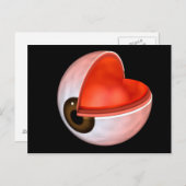 Carte Postale Image Conceptuelle De L'Anatomie Des Yeux Humains (Devant / Derrière)