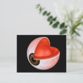 Carte Postale Image Conceptuelle De L'Anatomie Des Yeux Humains (Debout devant)