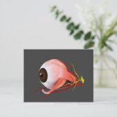 Carte Postale Image Conceptuelle De L'Anatomie Des Yeux Humains  (Debout devant)