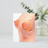 Carte Postale Image Conceptuelle De L'Anatomie Du Sein Féminin 1 (Debout devant)