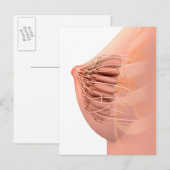 Carte Postale Image Conceptuelle De L'Anatomie Du Sein Féminin 2 (Devant / Derrière)