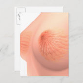 Carte Postale Image Conceptuelle De L'Anatomie Du Sein Féminin 4 (Devant / Derrière)