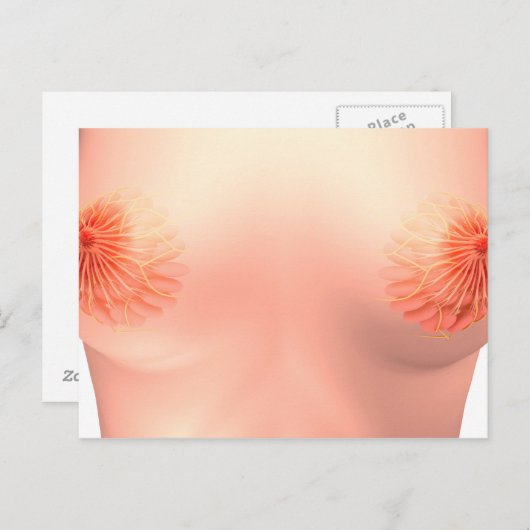 Carte Postale Image Conceptuelle De L'Anatomie Du Sein Féminin 7 (Devant / Derrière)