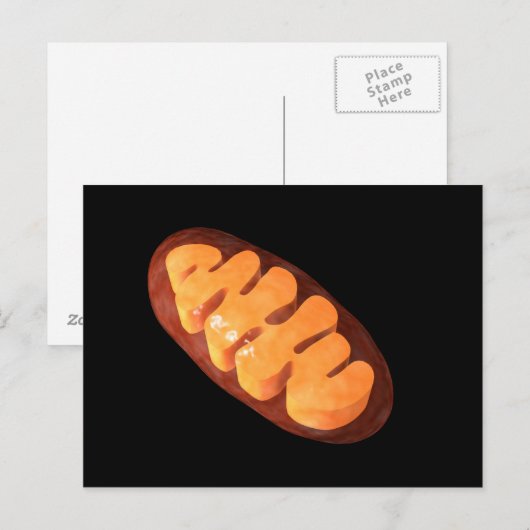 Carte Postale Image Conceptuelle De Mitochondria 1 (Devant / Derrière)