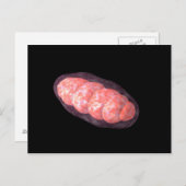 Carte Postale Image Conceptuelle De Mitochondria 2 (Devant / Derrière)