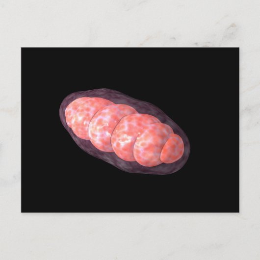 Carte Postale Image Conceptuelle De Mitochondria 2 (Devant)
