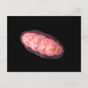 Carte Postale Image Conceptuelle De Mitochondria 2
