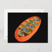 Carte Postale Image Conceptuelle De Mitochondria 3 (Devant / Derrière)