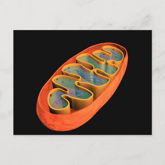 Carte Postale Image Conceptuelle De Mitochondria 3 (Devant)