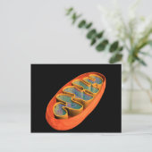Carte Postale Image Conceptuelle De Mitochondria 3 (Debout devant)