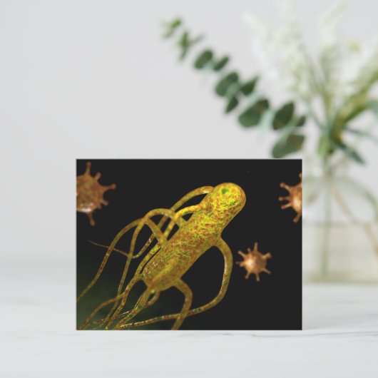 Carte Postale Image Conceptuelle De Salmonella Typhi 1 (Debout devant)