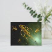 Carte Postale Image Conceptuelle De Salmonella Typhi 2 (Debout devant)